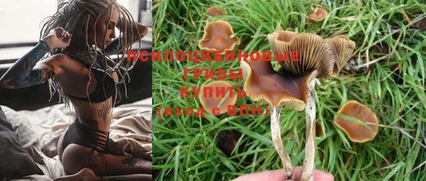 прущие крисы Уссурийск