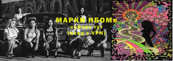 прущие грибы Наволоки