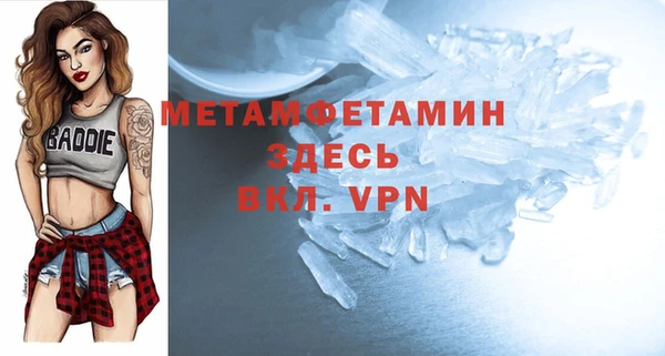 прущие грибы Наволоки